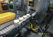 JAR TYPE CAPPING M/C-김치,된장,젖갈,벌꿀,